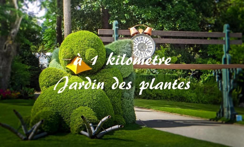 Le Nid Des Carmes Apartman Nantes Kültér fotó